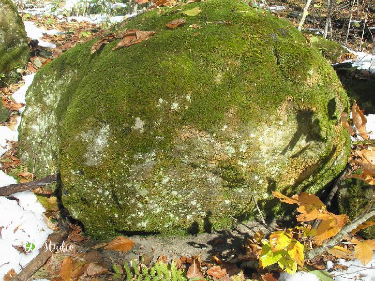 Природный камень валун песчаник со мхом  Песчаник со мхом Цена: 11 руб Фракция 50-100см, цвет темно-серый со мхом, форма округлая.